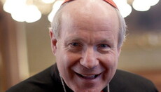 Кардинал Шенборн про евтаназію: завтра почнемо вбивати інвалідів?