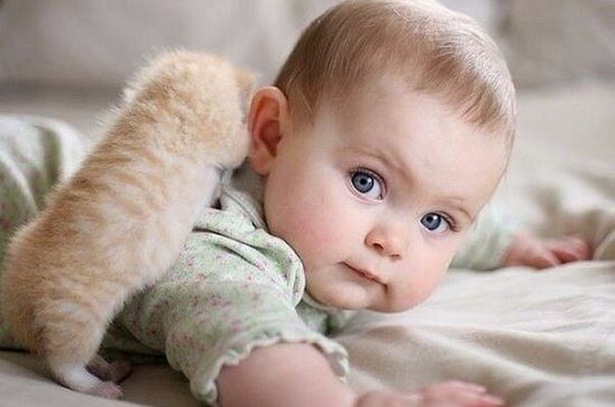 Аборти – це узаконений геноцид, – Ієрарх Елладської Церкви