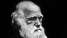 Турецькі вчителі хочуть судитися з державою через теорію Дарвіна