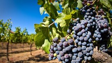 Археологічне відкриття знову підтвердило слова Біблії