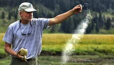 Бельгійська партія зелених запропонувала пустити прах померлих на добриво