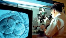 Імами Узбекистану оприлюднили свою позицію щодо ЕКЗ