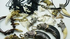 Охоронці в аеропортах США вчаться адекватно реагувати на амулети індіанців