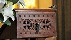 Церкву в Британії закрили на два тижні заради синиць