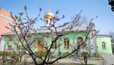 В Пекине мирянка написала новый тип иконы Пресвятой Богородицы