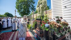 Позиции Предстоятелей УПЦ противопоставляют бессовестные люди, – иерарх УПЦ