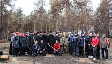 На місці згорілого лісу біля храму під Сєвєродонецьком висадили 100 дерев