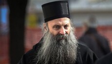Патриарх Сербии объяснил, почему в 2016 году поцеловал руку папе Франциску