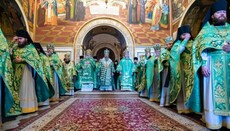 Предстоятель очолив богослужіння Вербної неділі в Лаврі