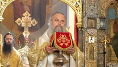 Болгарський ієрарх: Робимо все можливе, щоб у Православ’ї була єдність