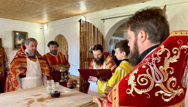Митрополит Боголєп і духовенство Олександрійської єпархії УПЦ. Фото: alexandria-eparhia.org.ua