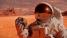 Маск анонсировал полет на Марс гуманоидного робота в конце 2026 года