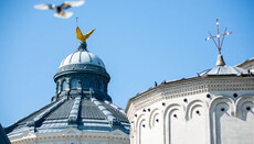 Синод Румунської Церкви заявив про бажання «повернути» деякі громади УПЦ.