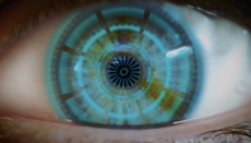 Elon Musk promises his technology will help the blind see