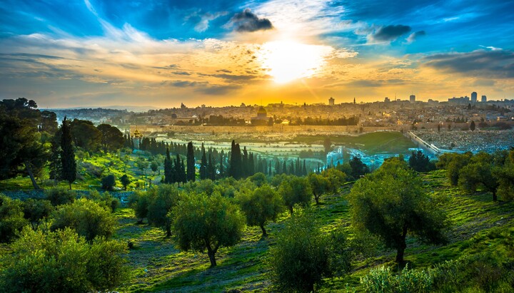 Елеонская гора. Фото: Family of Israel