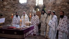 В Струмице митрополит УПЦ сослужил с иерархами Македонской Церкви