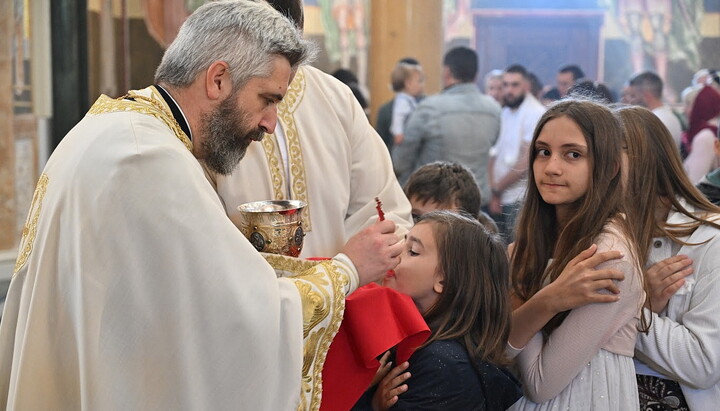 О. Слободан Зенкович. Фото: СПЖ в Сербии