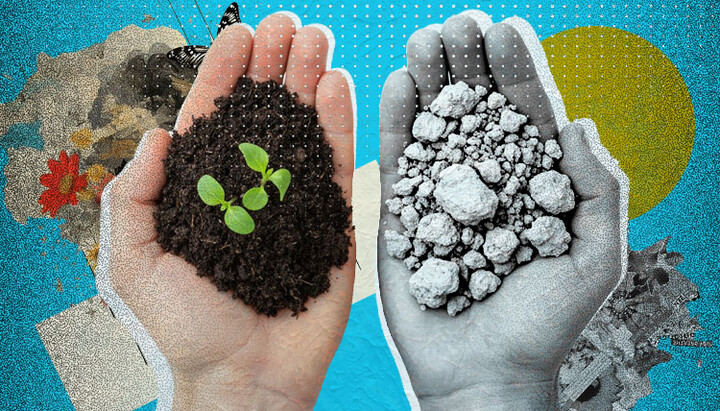 The soul can be either fertile or barren. Photo: UOJ