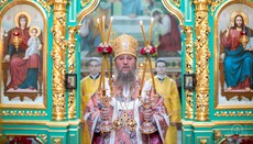 Управделами: Все, что Церковь сегодня переживает, – не поражение, а очищение