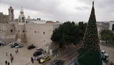 На площі у Вифлеємі вперше за два роки встановили різдвяну ялинку
