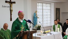 РКЦ в Хорватии выступила против уроков полового воспитания