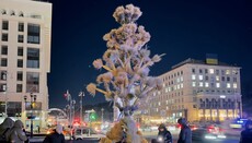 На Майдане установили 7-метровый дидух как замену Рождественской елке