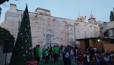 У Газі вперше за роки війни запалили різдвяну ялинку
