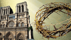 Терновий вінець: ботаніка і фізіологія страждань