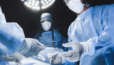 Ватикан разрешил пересадку органов животных католикам 