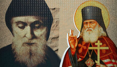 Рентген наосліп: діалог зі святителем Лукою Кримським