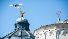 Румунська Церква виступила проти гей-параду в Бухаресті