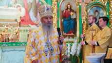 His Beatitude: Legalizing sin will not solve humanity's problems