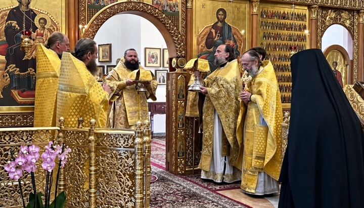 Για τις δικαιολογίες του Μητροπολίτη Ρόβνο μετά τη λειτουργία στα Ιεροσόλυμα