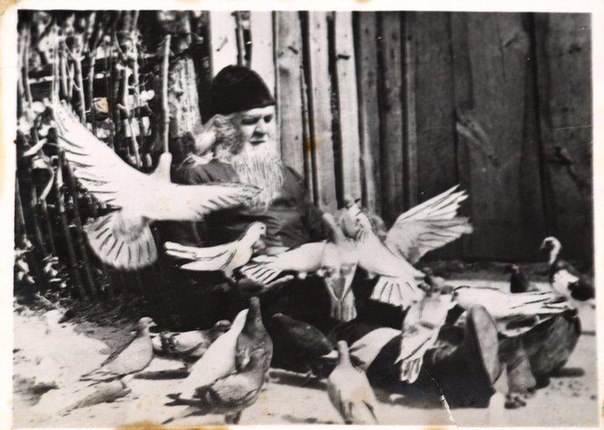 В Почаевской лавре поминают преподобного Амфилохия: расписание богослужений фото 1