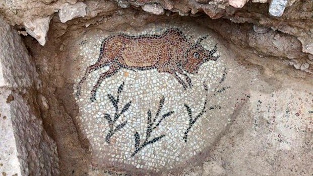 В Турции раскопали самый древний храм Черноморского региона фото 1