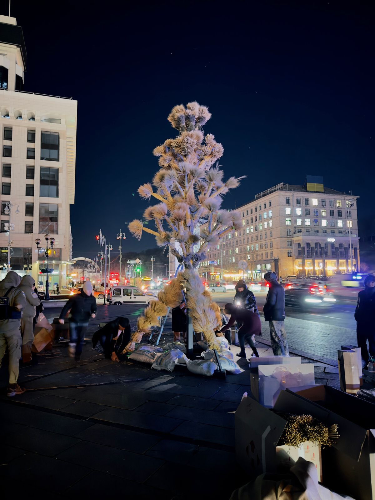 7-метровый дидух в Киеве